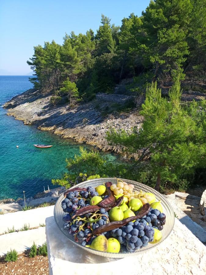 Modern Robinson Veli Bare Villa Vela Luka Buitenkant foto