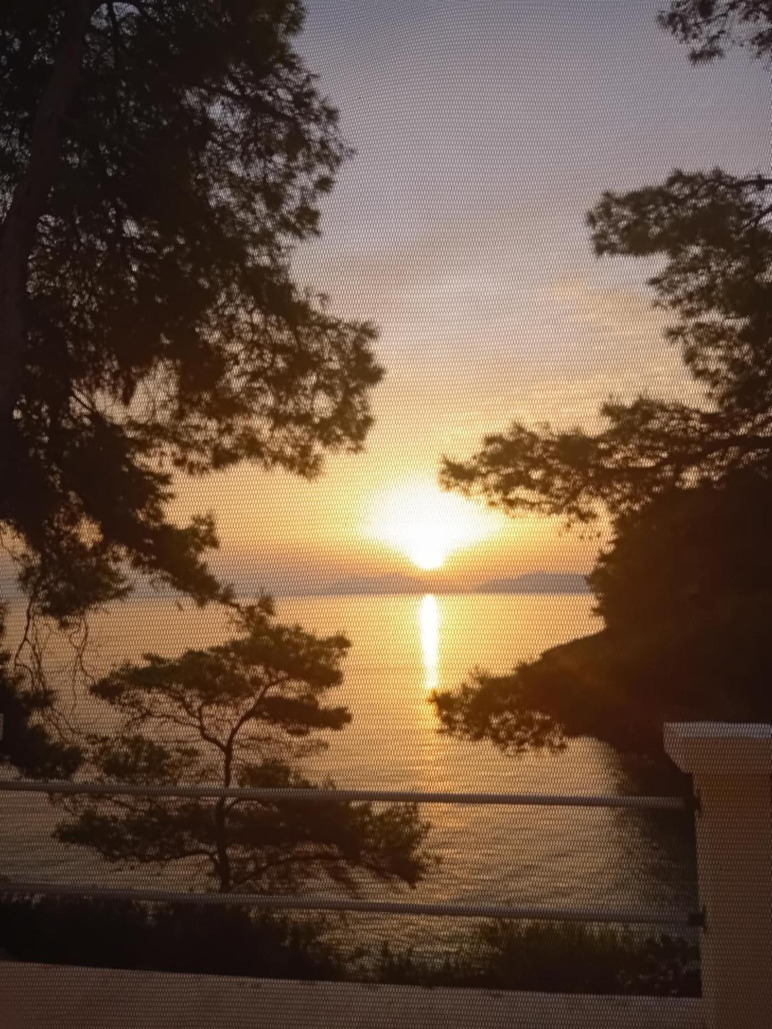 Modern Robinson Veli Bare Villa Vela Luka Buitenkant foto
