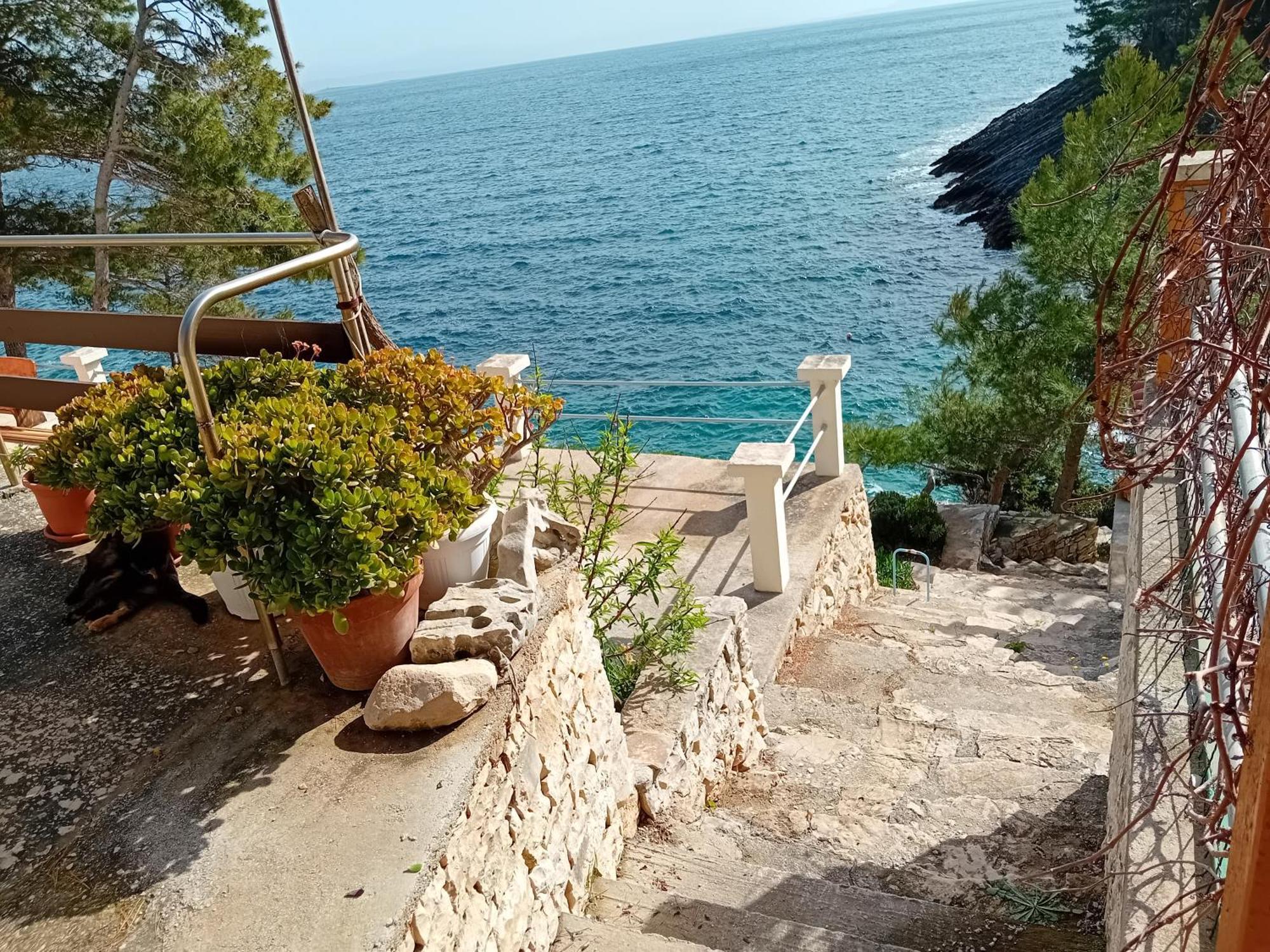 Modern Robinson Veli Bare Villa Vela Luka Buitenkant foto