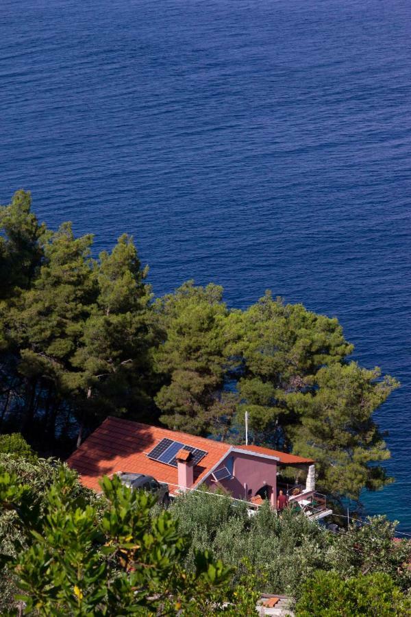 Modern Robinson Veli Bare Villa Vela Luka Buitenkant foto